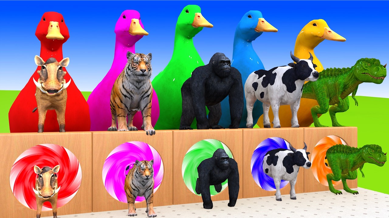 Long Slide Game with Cow Elephant Gorilla Hippopotamus Tiger 3d Animal Game Funny 3d Animals