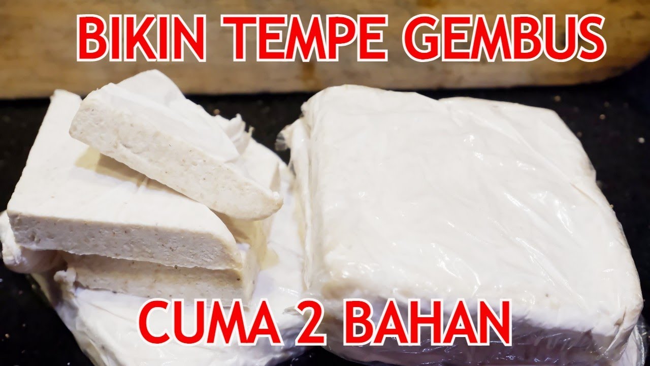 CARA MEMBUAT TEMPE GEMBUS DARI AMPAS TAHU , CUMA 2 BAHAN SAJA