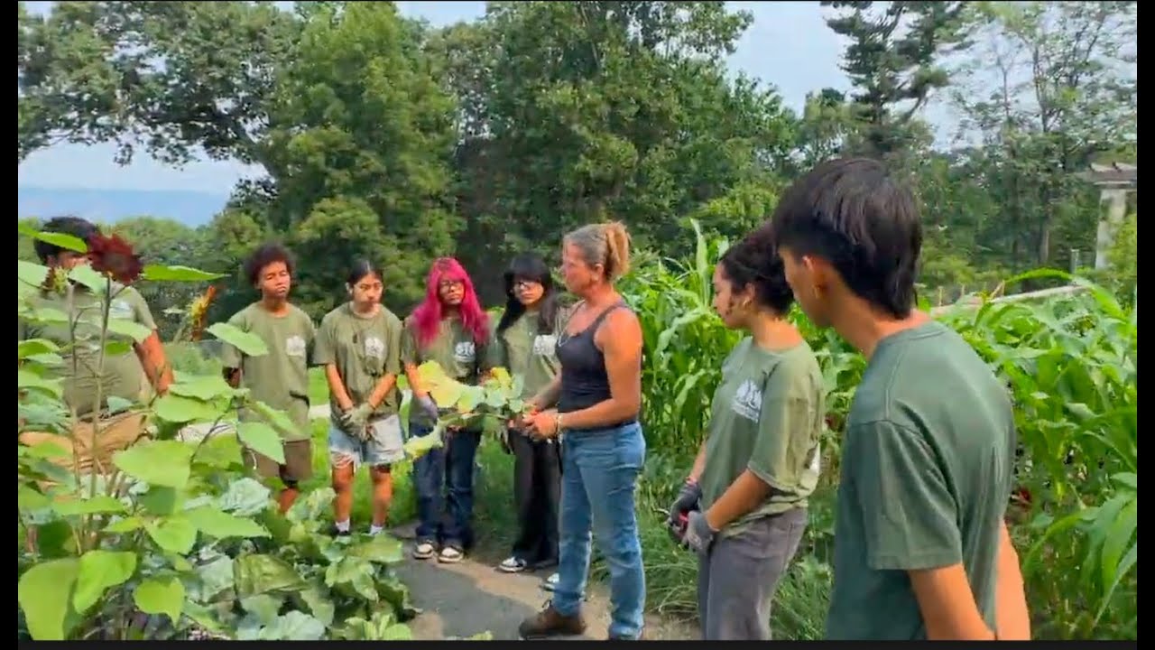 The Ornamental Vegetable Garden