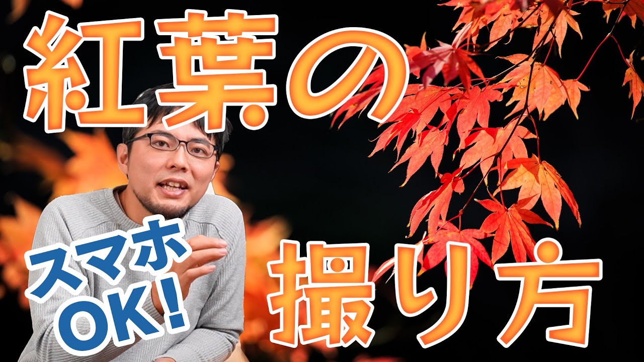 紅葉の撮り方のコツを8つのポイントに分けて解説するよ！散った後やライトアップの撮り方も。【スマホOK！】