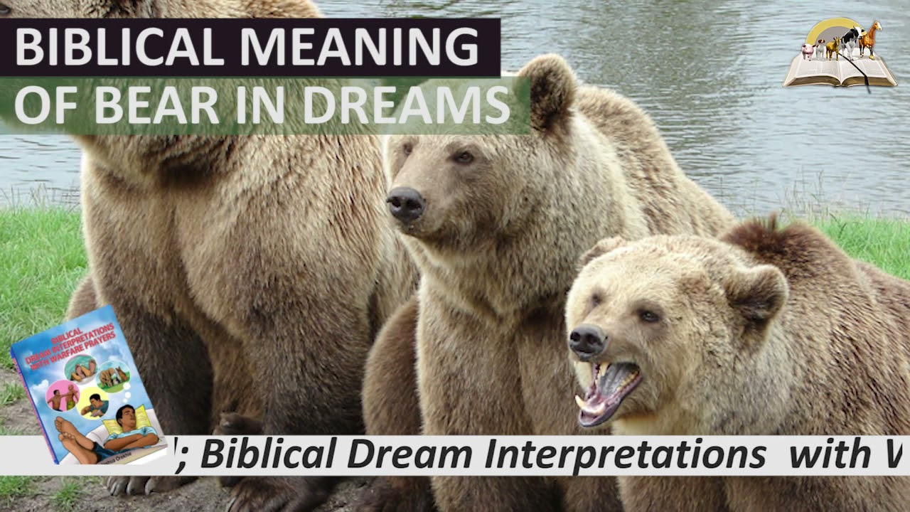 Biblical Meaning of BEAR in Dream - Spiritual and Prophetic Meaning