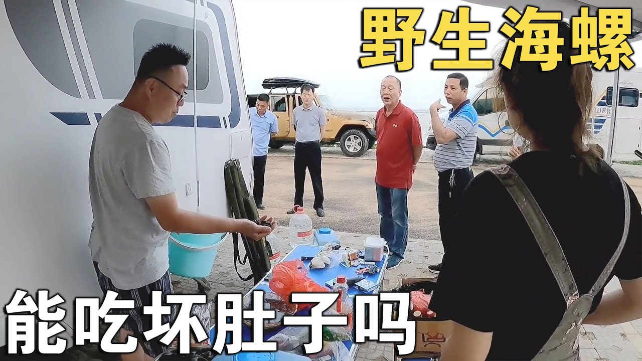 海边摸到不知名海螺，多亏当地老乡告知，差点中毒，这螺你认识吗【环华行913】