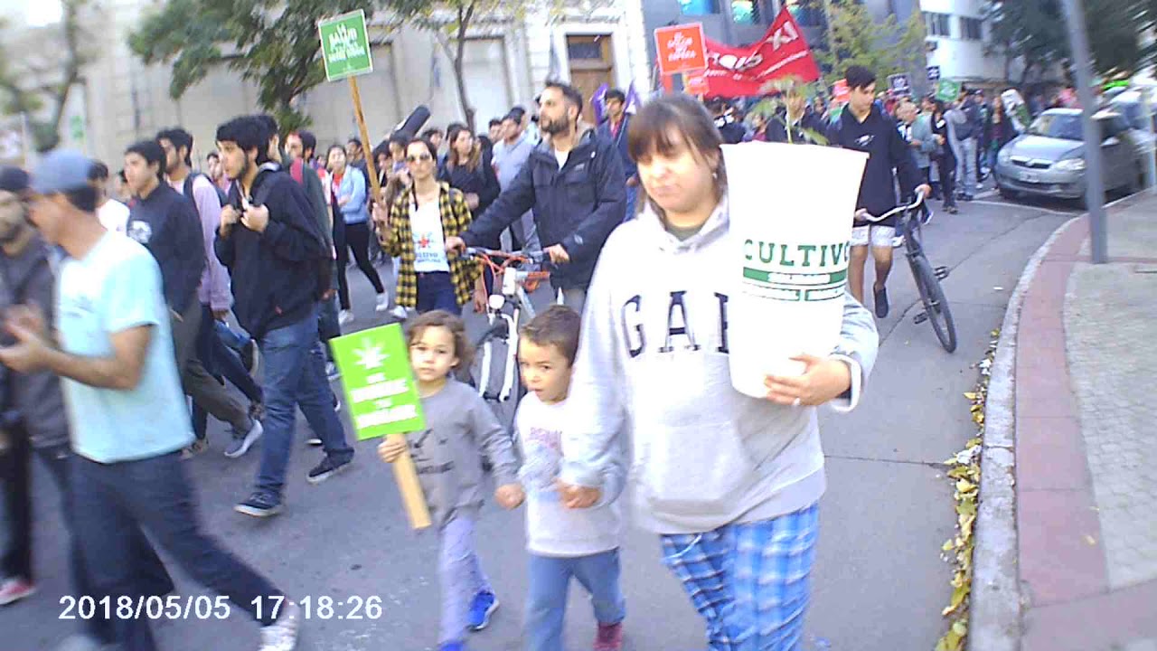 GHANJHA-marcha mundial cannabis /marihuana 2018(P.N.B.)