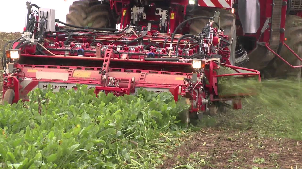 HOLMER Terra Dos T4-40!!