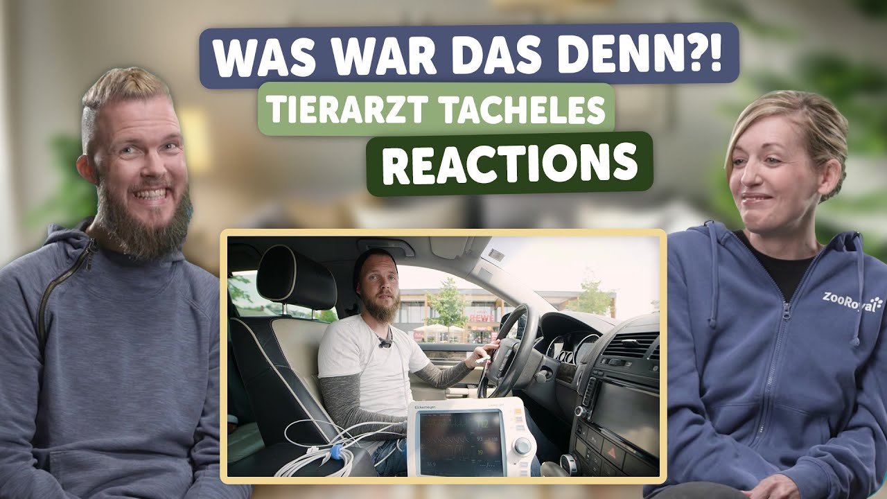 Was war das denn?! | Tierarzt Tacheles mit Sebastian Goßmann-Jonigkeit | ZooRoyal