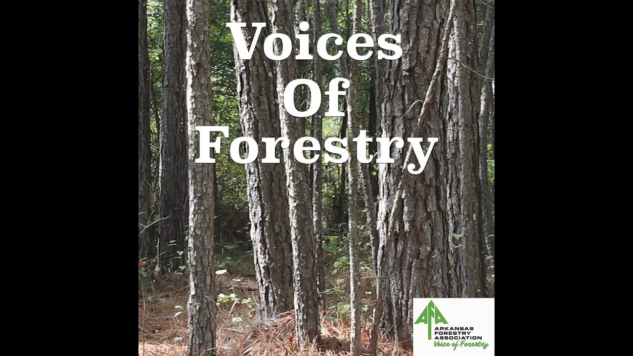 Voices of Forestry Ep. 73 - Evaluating Land Before You Buy