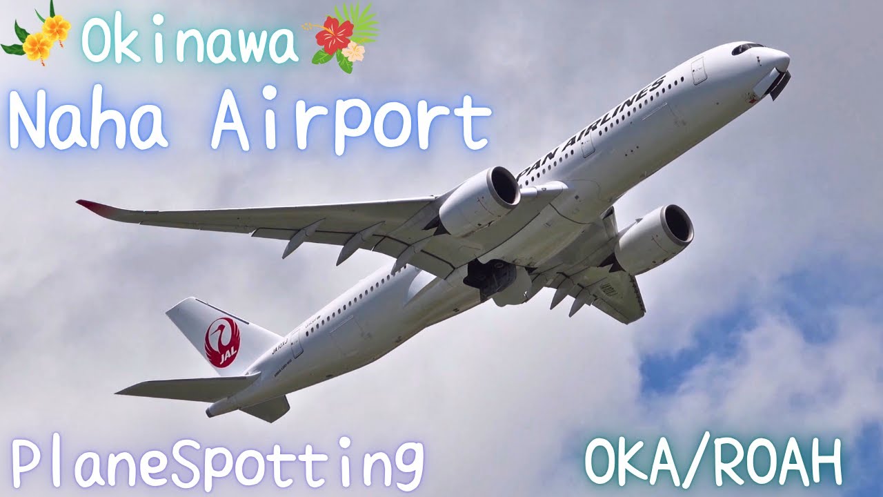 🇯🇵Mantap💝 [OKA/ROAH] PlaneSpotting at Okinawa Naha Airport.  2024.7.8⑥