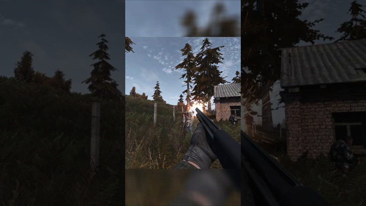 S.T.A.L.K.E.R. Improved weapon pack (I.W.P.) Standalone #stalkeranomaly #stalker2 #stalker