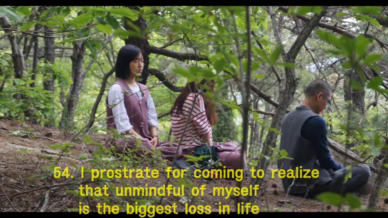 Buddhist ritual - 108 prostrations (Temple Geumsunsa)