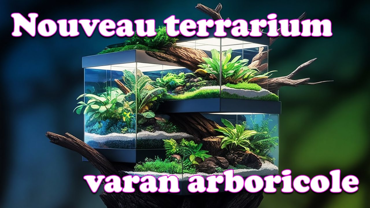 Je d&eacute;monte tout ! M&eacute;tamorphose incroyable du terrarium pour mes adorables varans arboricoles