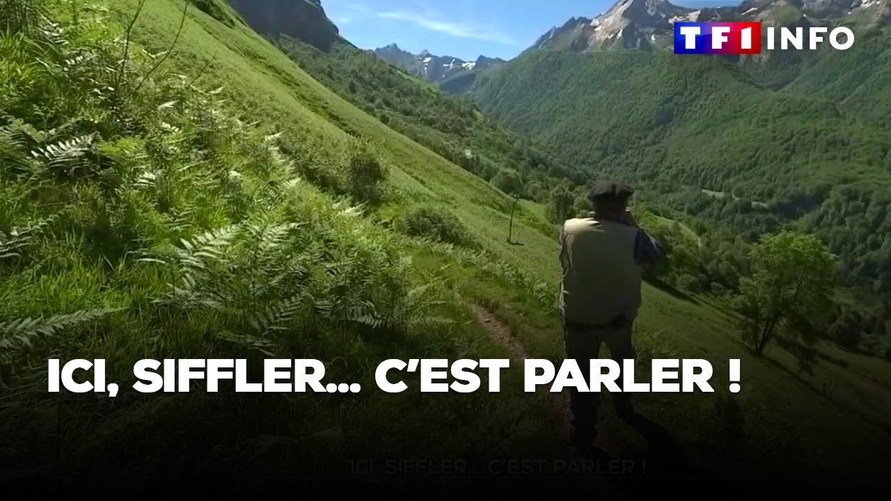 Ici, siffler... c'est parler !