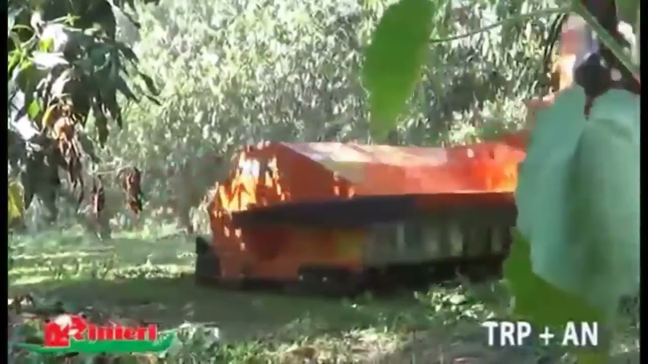 Rinieri TRP Mower + AN Double Sweeper