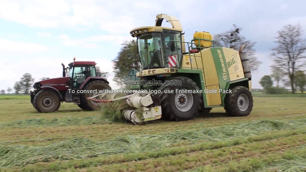 Życica \ kiszonka 2020 * akcja na 4 ciągniki i sieczkarnia KRONE BIG X V8