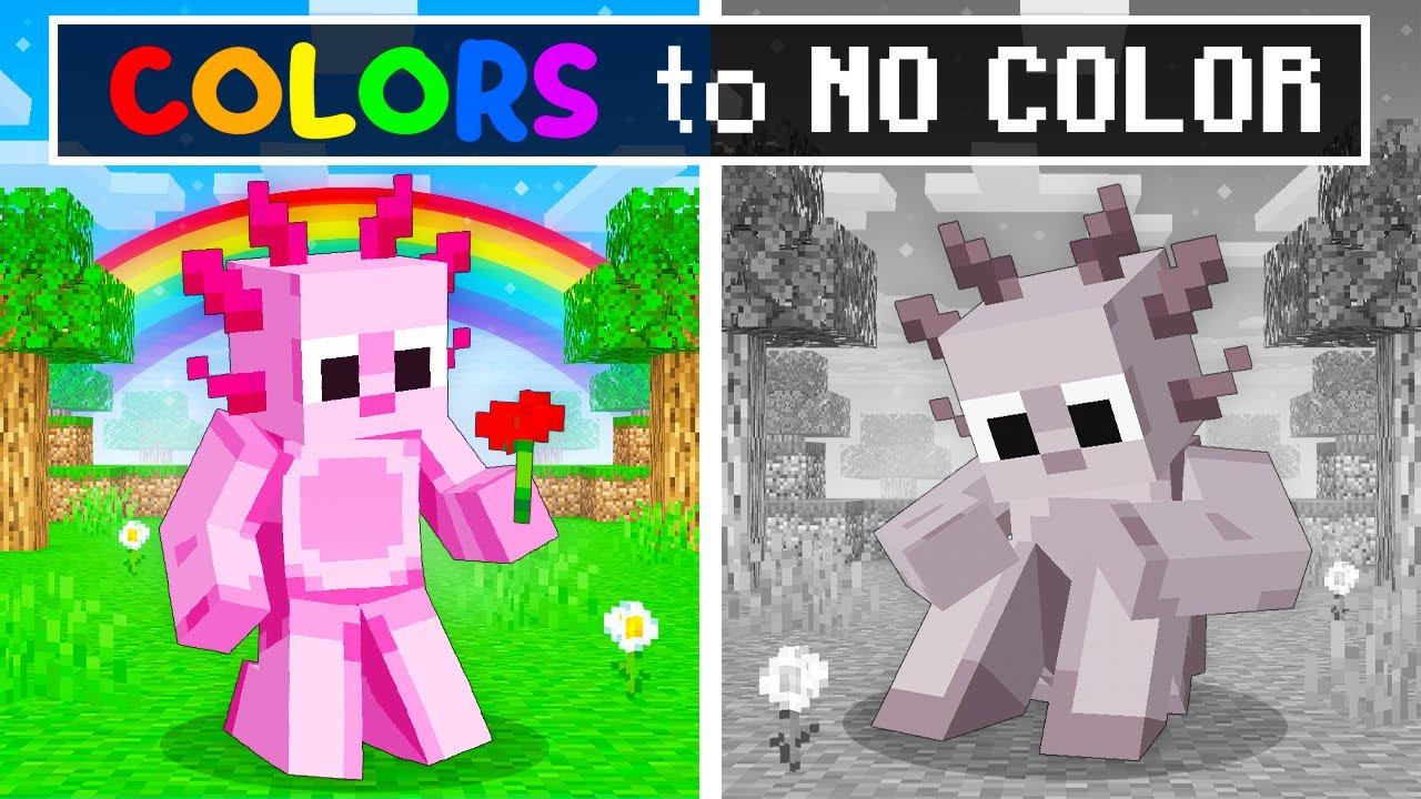 Our COLORS are GONE in Minecraft!