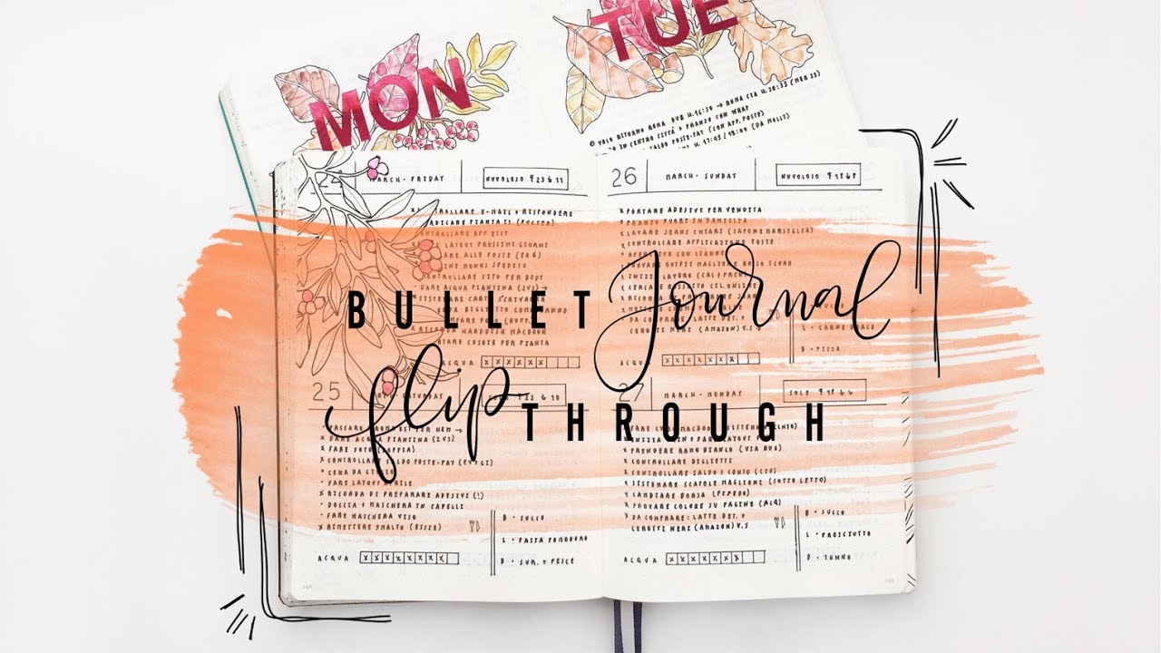 Bullet Journal Flip Through | FEEBUJO