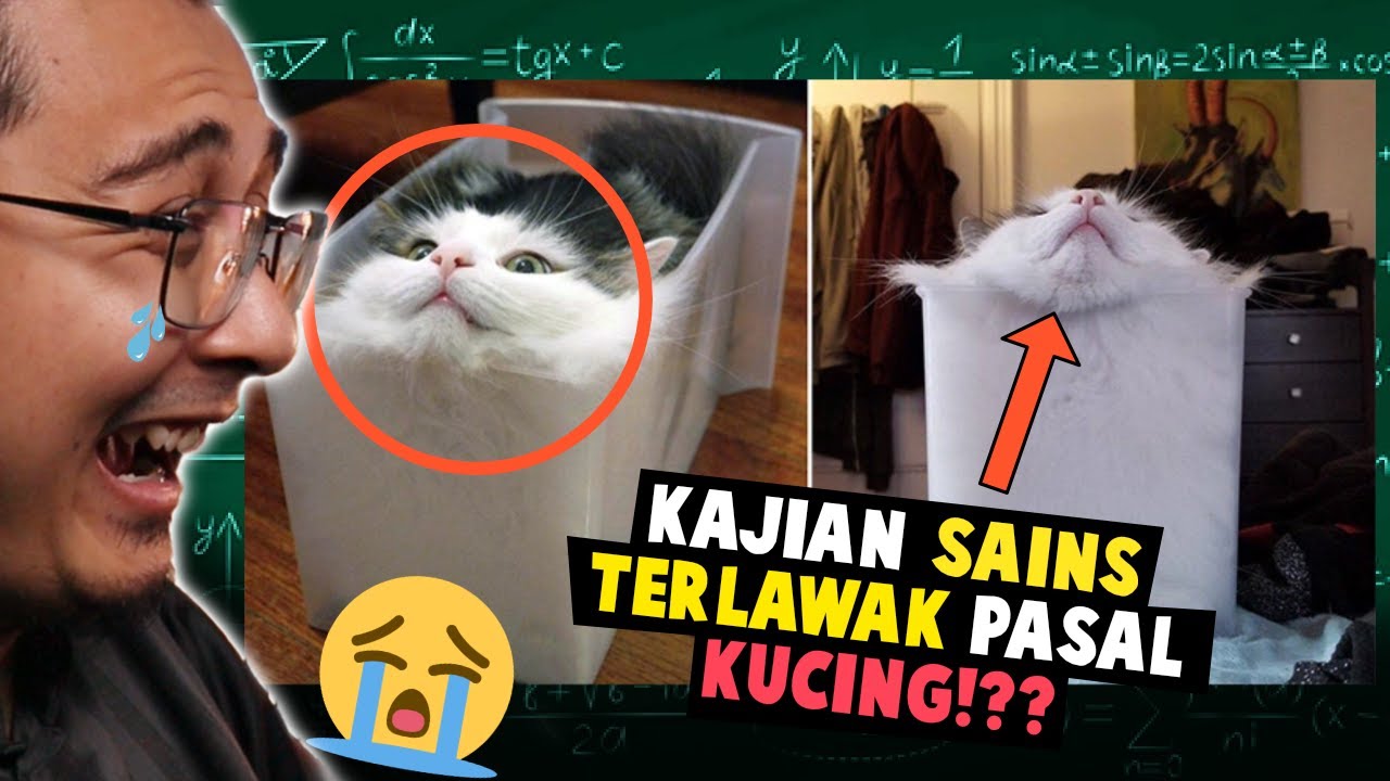 APA SAINTIS FIKIR NI?? 5 Kajian Sains Yang Punya Lawak Sampai Dapat Anugerah!
