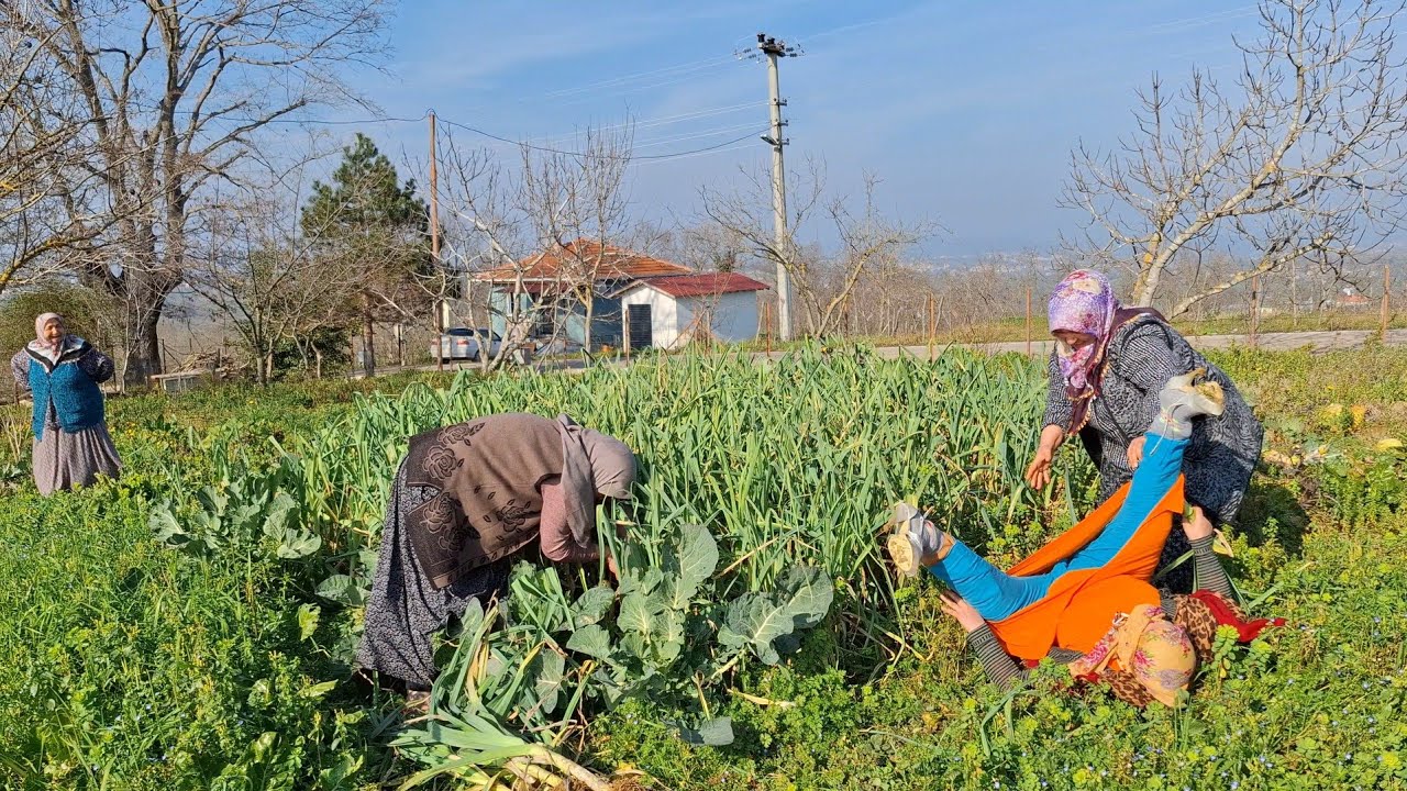 ĞÖZE ĞELDİM ĞÜZELLİĞİMDEN PIRASA KARNI BAHAR  TARLASINDA 😡‼️😡‼️😡KOCAELİ İZMİT‼️‼️