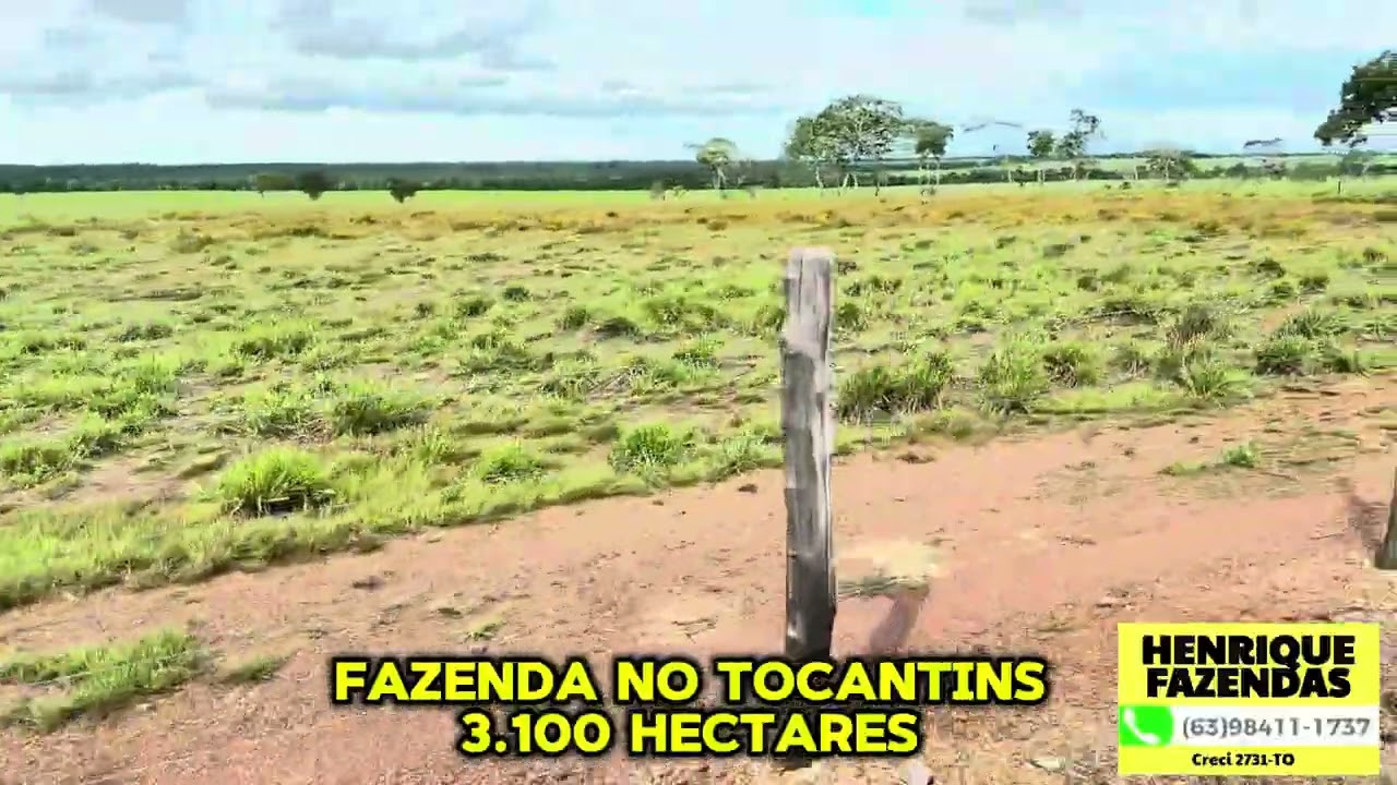 FAZENDA NO TOCANTINS 3.100 HECTARES TODA PLANA (63)98411-1737