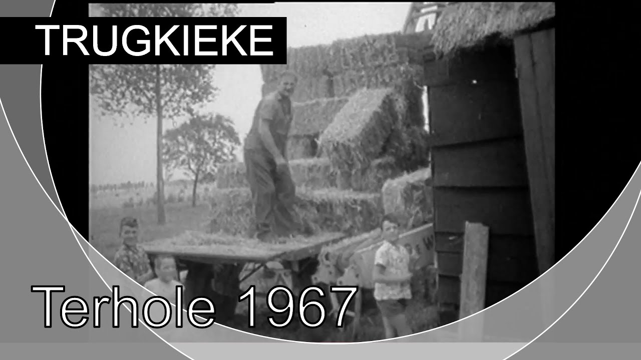 Trugkieke - Terhole 1967