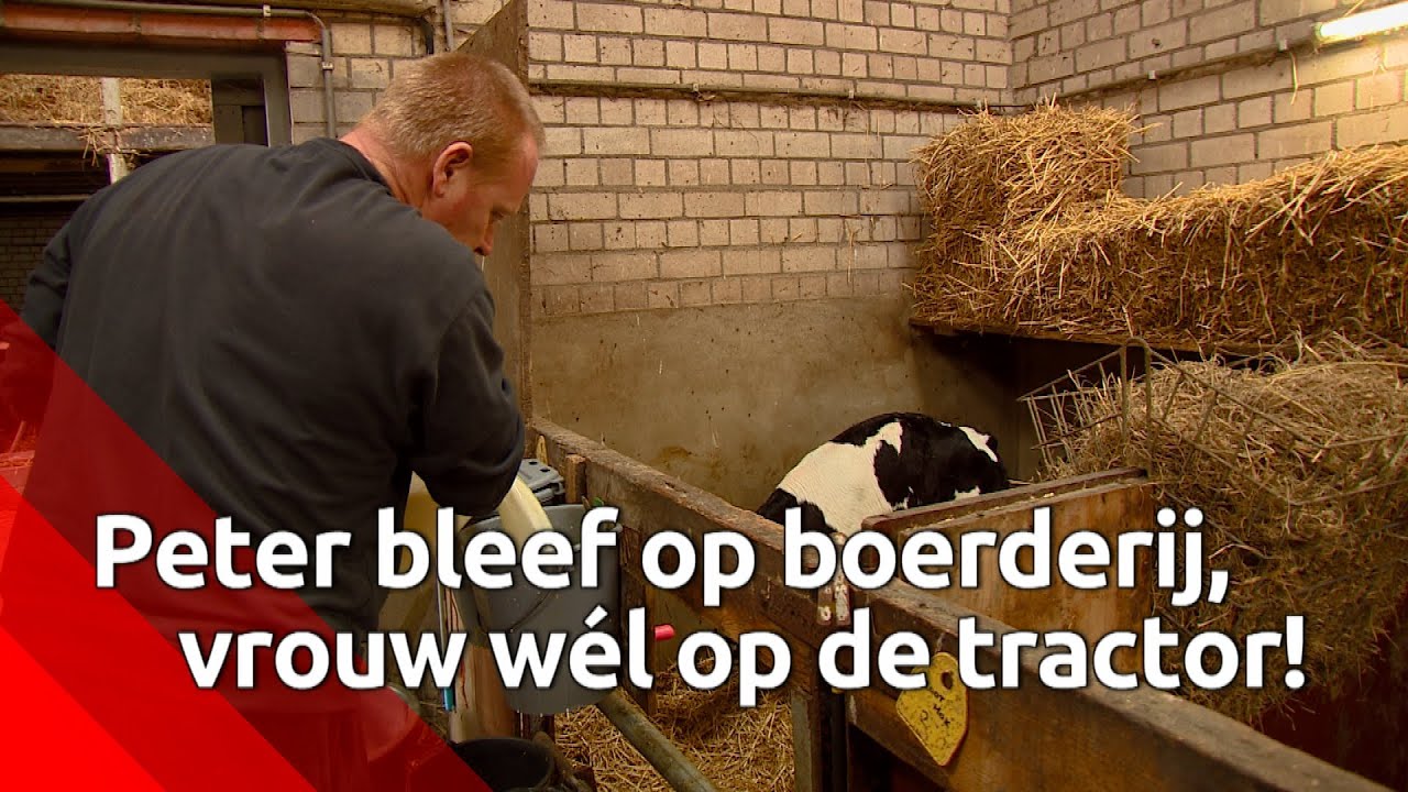 Als boerin Margot gaat demonstreren, past boer Peter op de boerderij