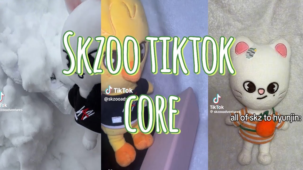 Skzoo TikTok’s because I know your life is boring✨😍 | All credit to @skzooadventures THESE ARE HERS!