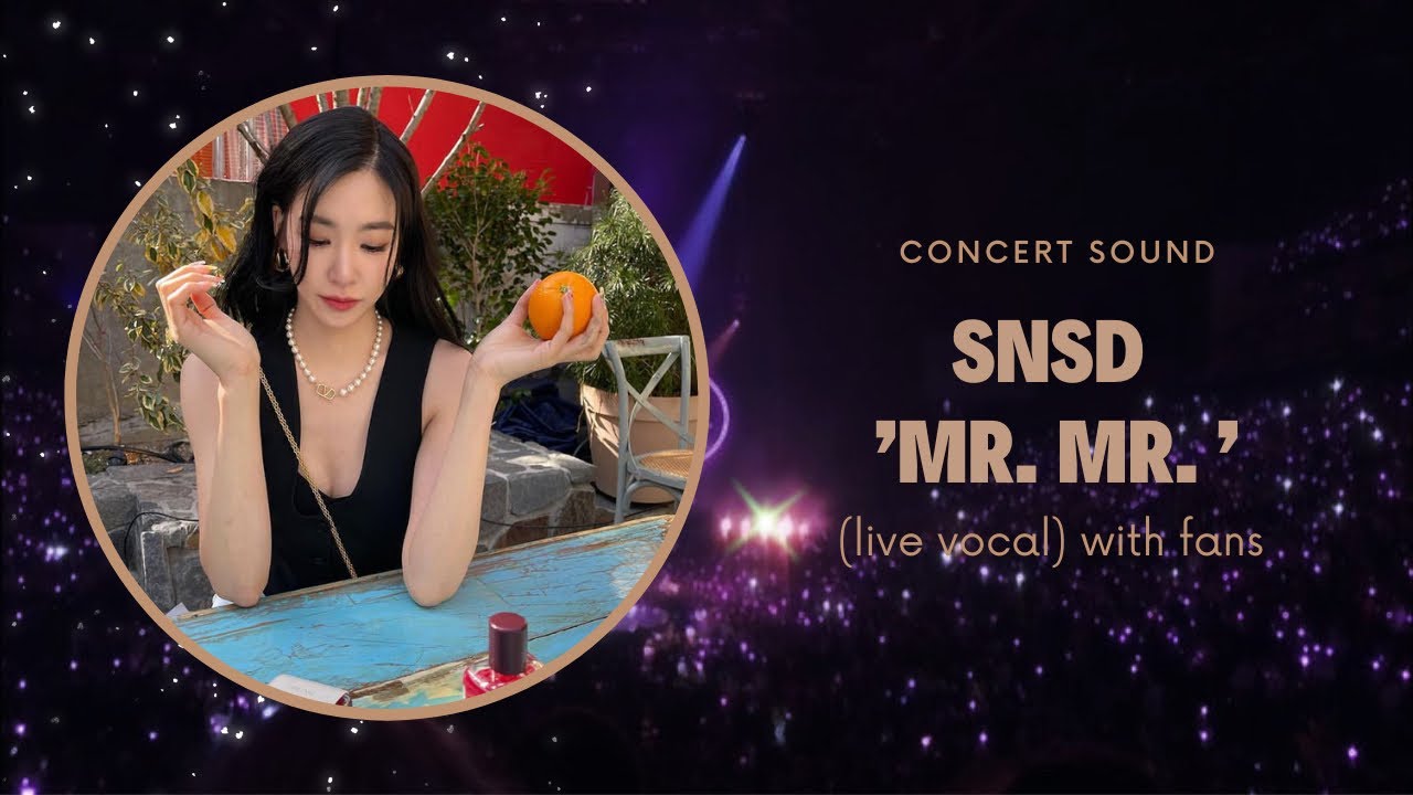 snsd ‘mr. mr.’ concert sound (live vocal) with fans