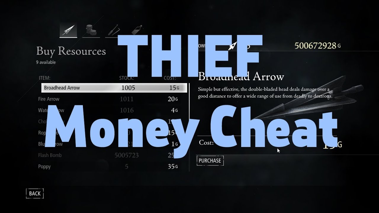 Thief - MONEY CHEAT