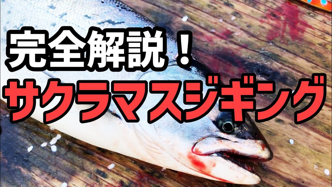 必見！９分で解説！サクラマスジギング・太平洋編 　釣果UP間違いなし！　積丹遊漁船 Atuy（アトゥイ）