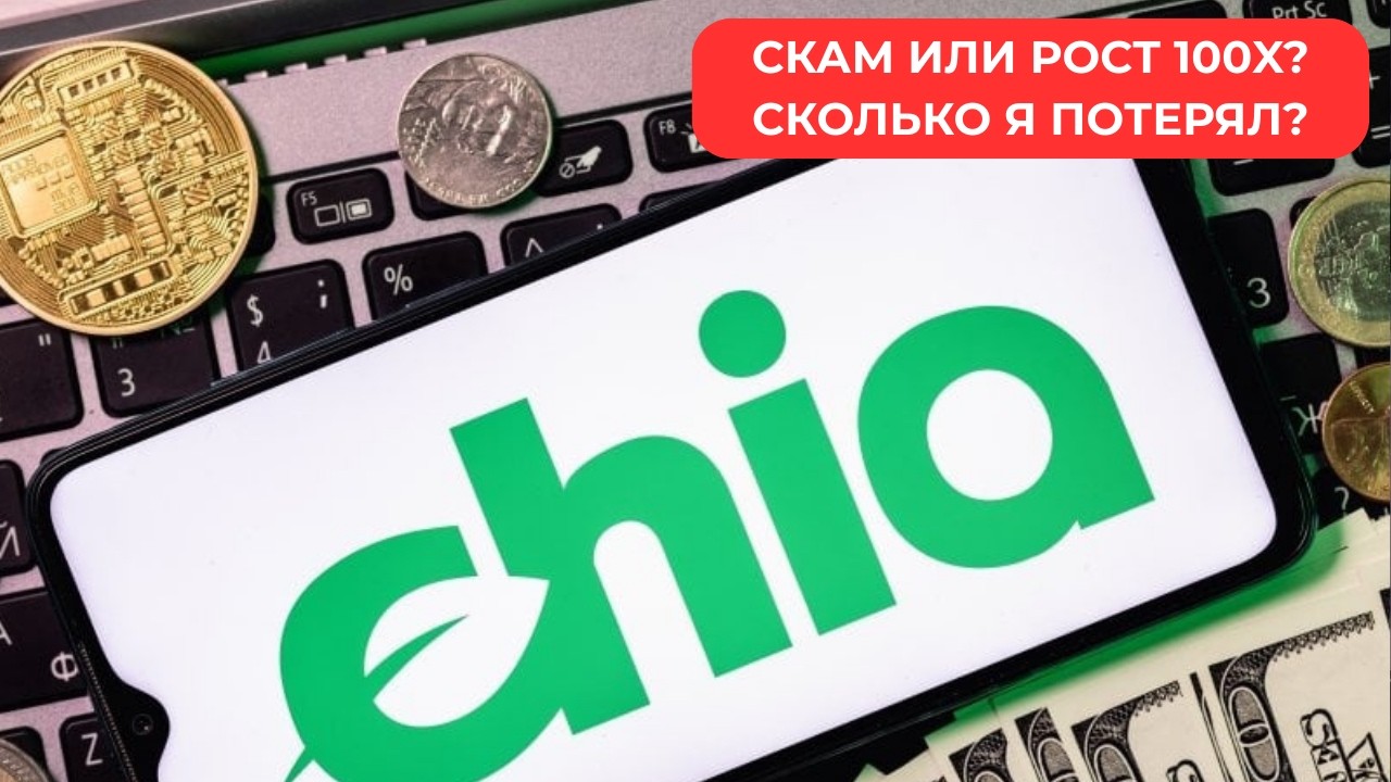 CHIA NETWORK — СКАМ ИЛИ 100X. СКОЛЬКО Я ПОТЕРЯЛ?