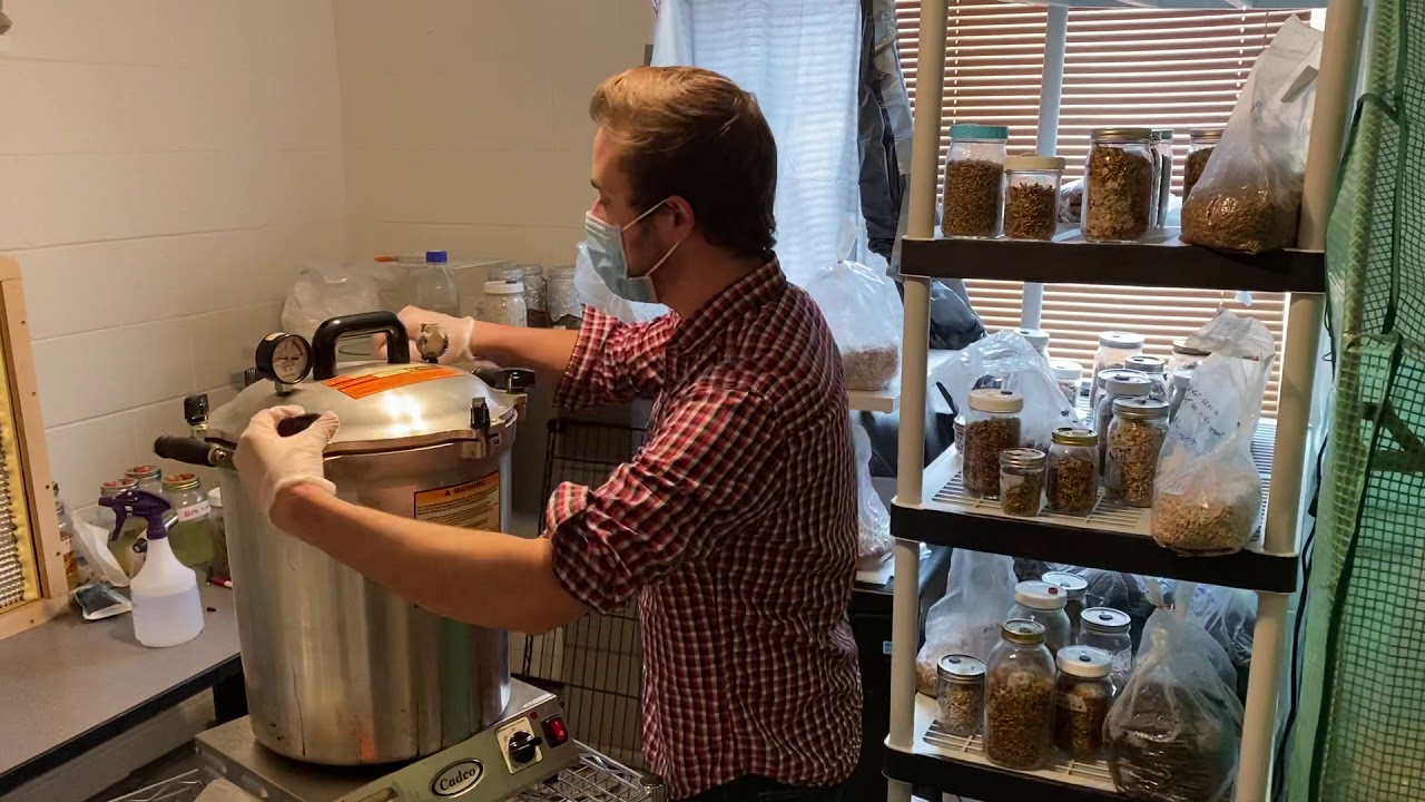Grain Spawn Bag Procedure for Sealing After Sterilization