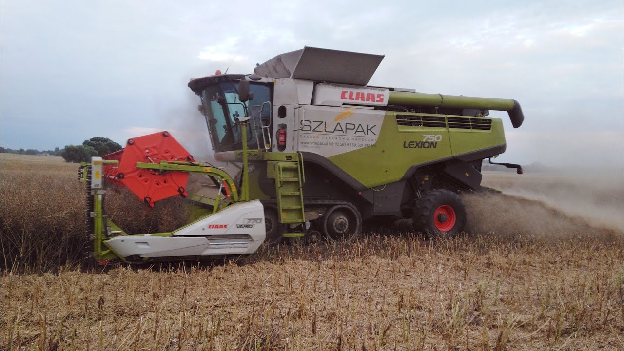 Żniwa rzepaku 2020 w GR. Wójtowicz 🔥Claas Lexion 750🔥 ll Usługi rolnicze Szłapak ll