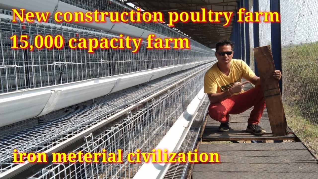 New poultry farm construction || new shed construction || layer poultry farming