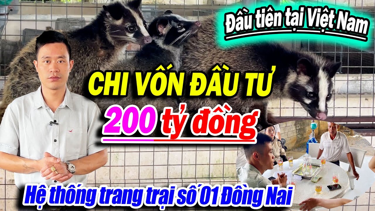 HỆ THỐNG TRANG TRẠI SỐ 01 ĐỒNG NAI CHI VỐN ĐẦU TƯ LÊN TỚI 200 TỶ ĐỒNG CHO BÀ CON | ĐI LÊN TỪ LÀNG