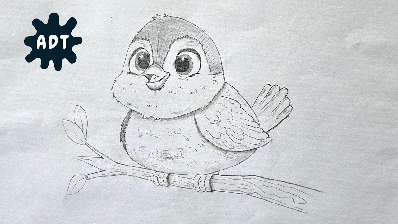 How to Draw Cute Sparrow Bird Step by Step in Cartoon style