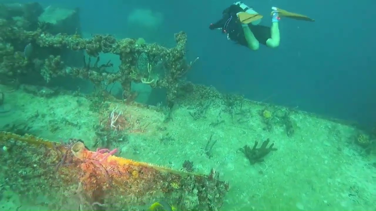 Spiegel Grove Dive with Next Level Diving