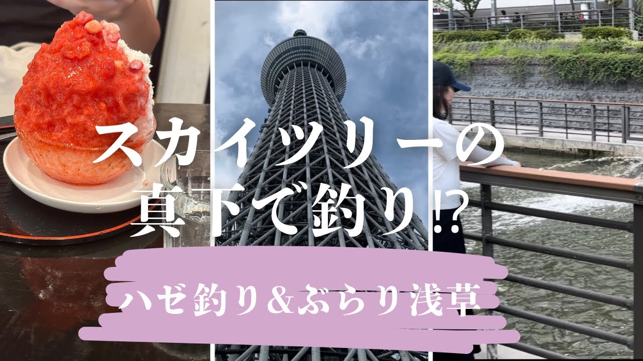 【北十間川釣り】時短で釣れる！ベビーホタテ1個で楽しめるこの釣りが楽しい♪