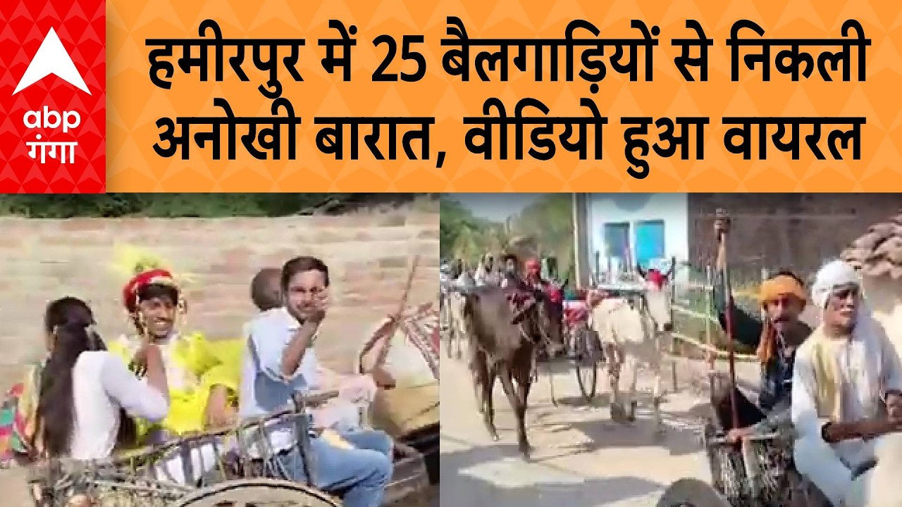 UP Viral News: हमीरपुर में 25 बैलगाड़ियों से निकली अनोखी बारात, देशी अंदाज में परोसा गया भोजन