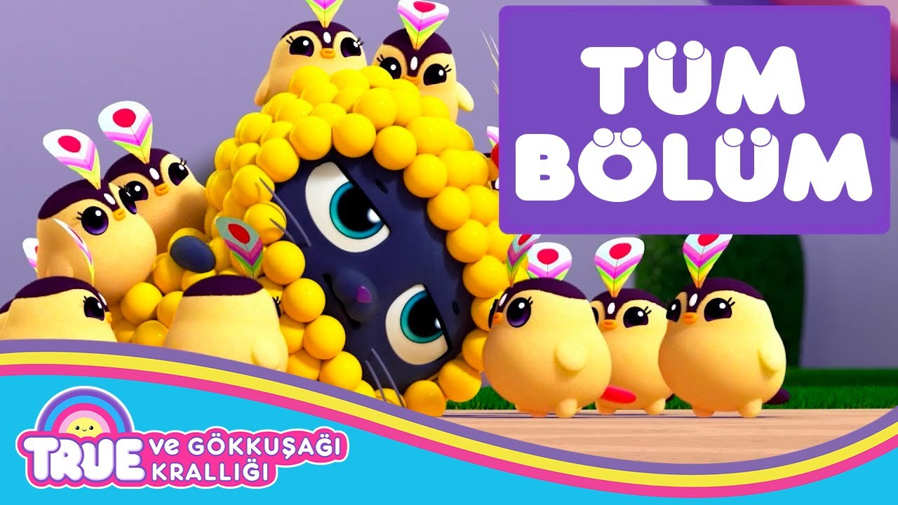 Hadi Hop Yaygara - TÜM BÖLÜM - True ve Gökkuşağı Krallığı 🌈  Çizgi Film - Cartoon Network