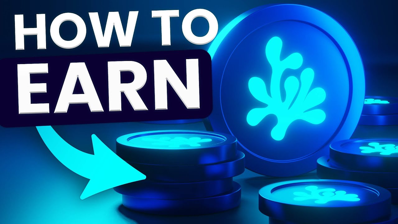 HOW TO EARN & PROVIDE LIQUIDITY ON A DEX | MAGICSEA Tutorial