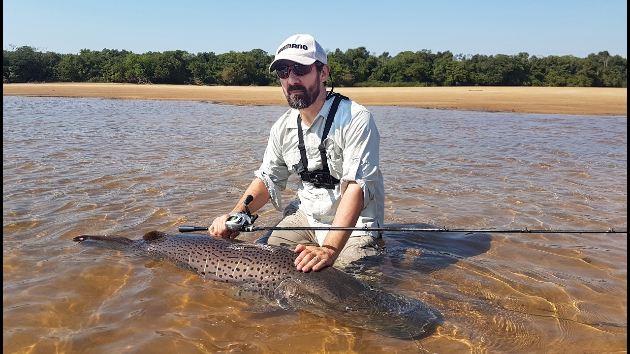 Bait pesado: pesca de surubi gigante en Itá ibaté
