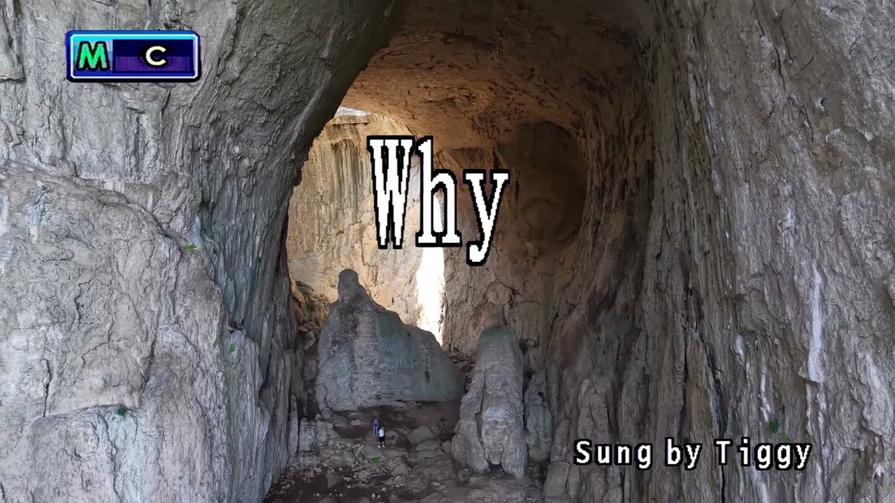 Tiggy - Why || Karaoke/Lyrics/Instrumental