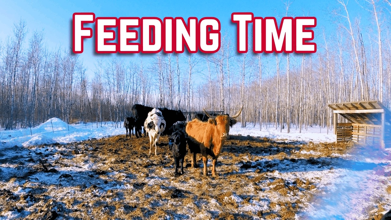 Back to Feeding in the Sun