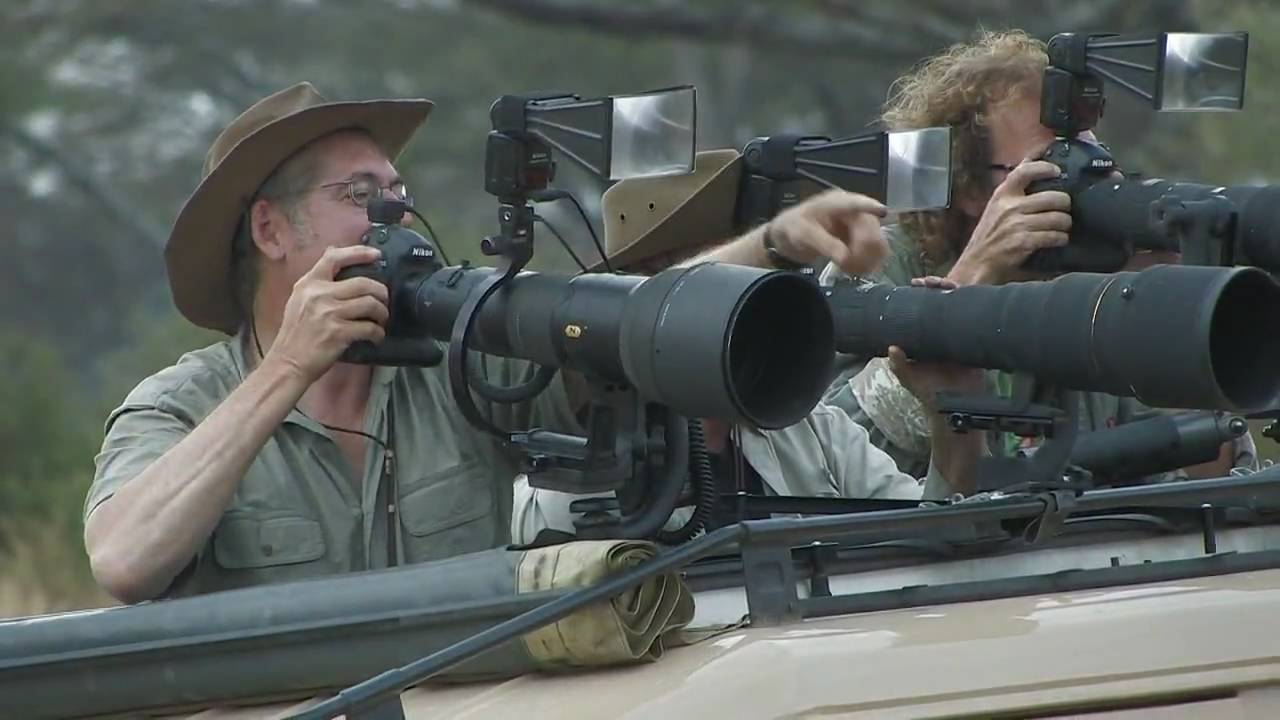 Welcome to Gustafson Photo Safari