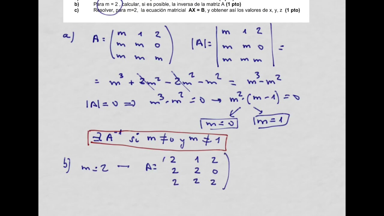 P2. Prueba Matrices y determinantes 