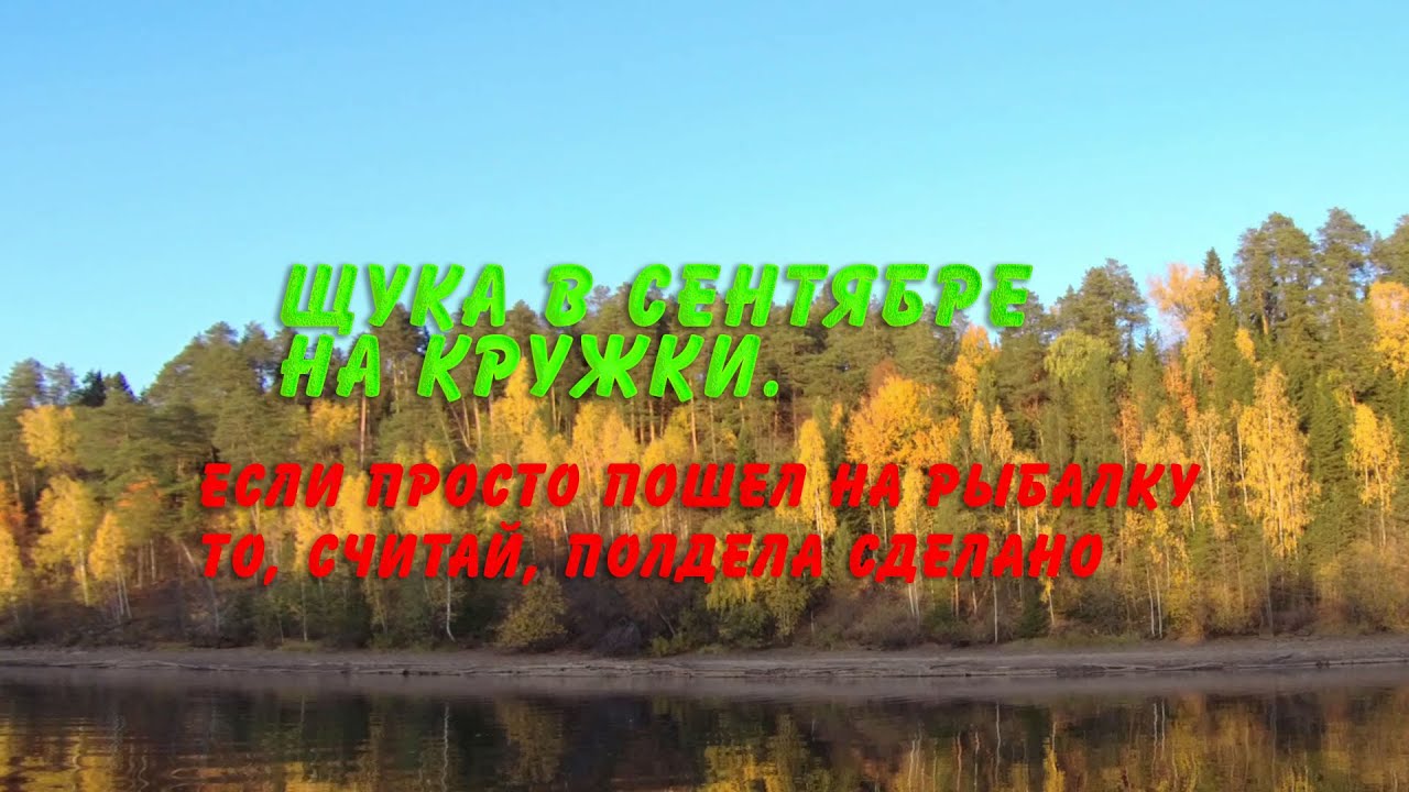 Щука в сентябре на кружки. Если просто пошел на рыбалку то, считай, полдела сделано