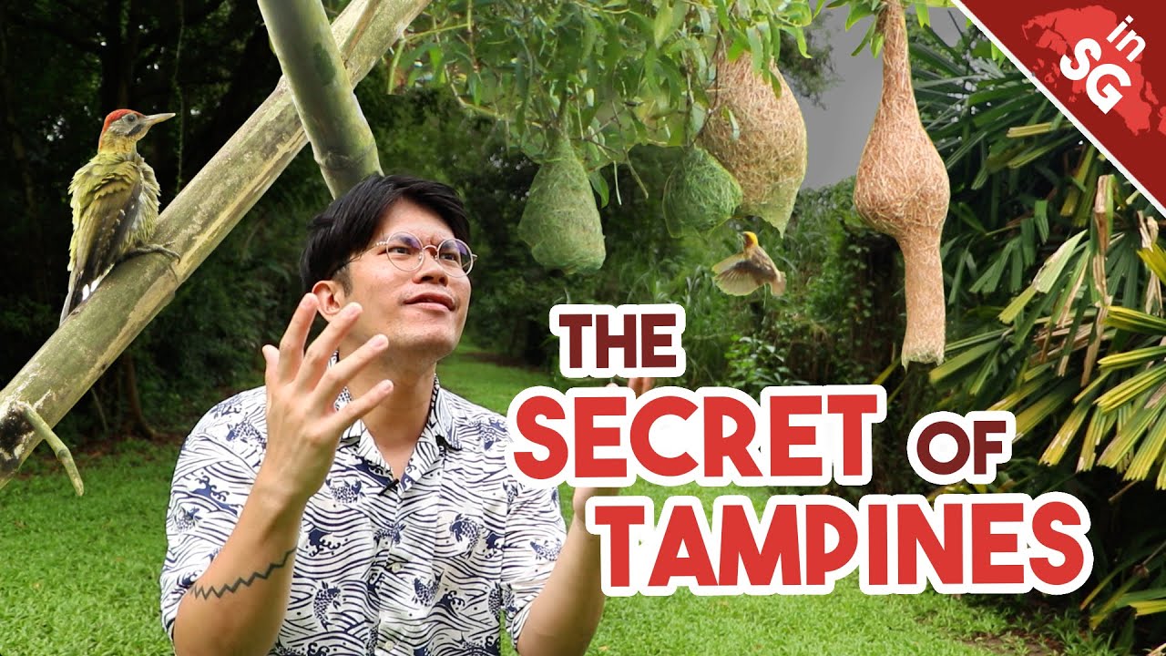 East Side's BEST Nature Spot? | Exploring Tampines Eco Green
