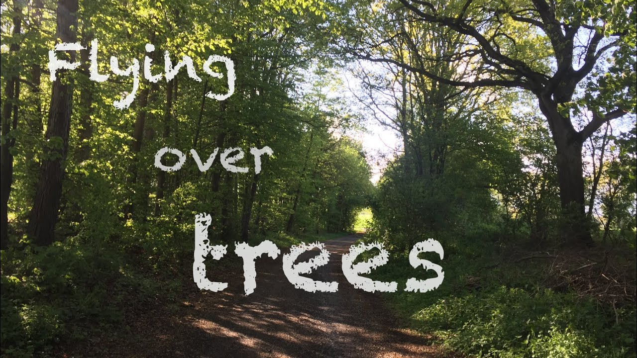 Flying over trees (4K)