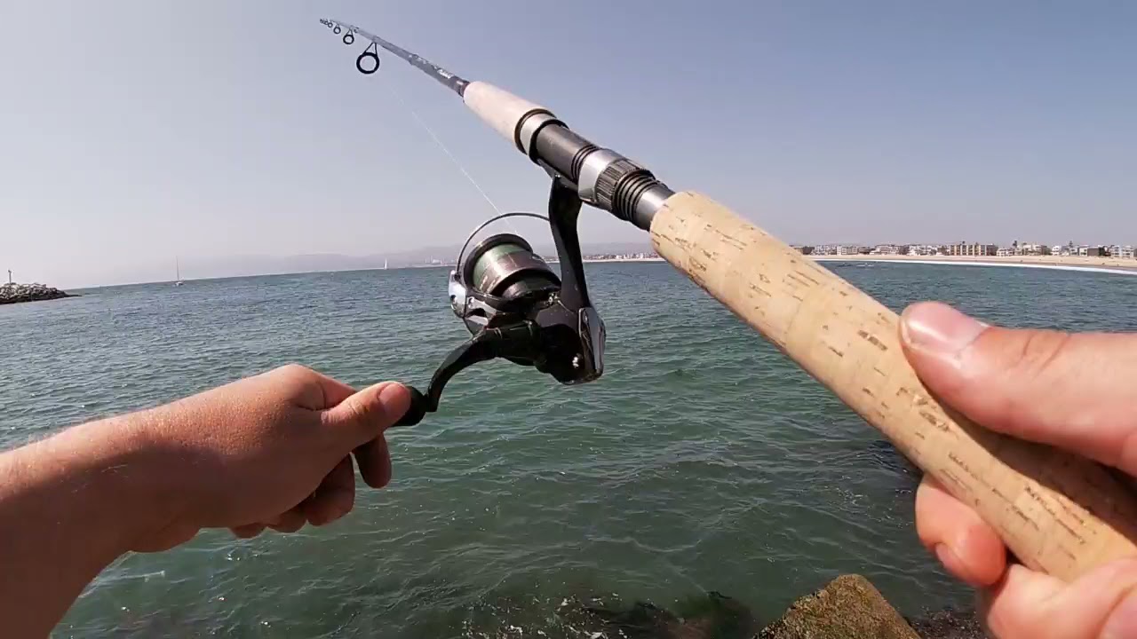 Fishing Marina Del Rey Jetty! New Fishing Friends and Weird Fish!!!