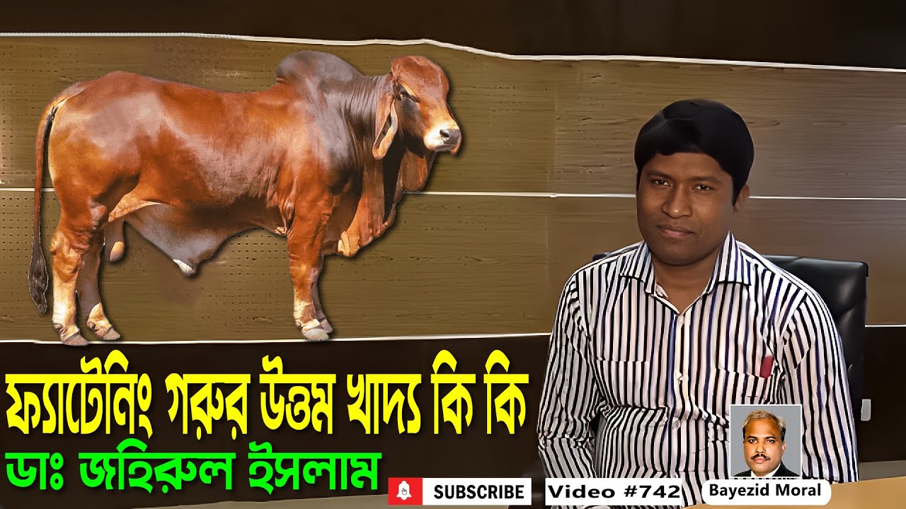 আজ জানুন, যে সব খাবার দিলে গরু বেশি মোটাতাজা হয় | ডাঃ জহিরুল ইসলাম | Cows Feed Formulation