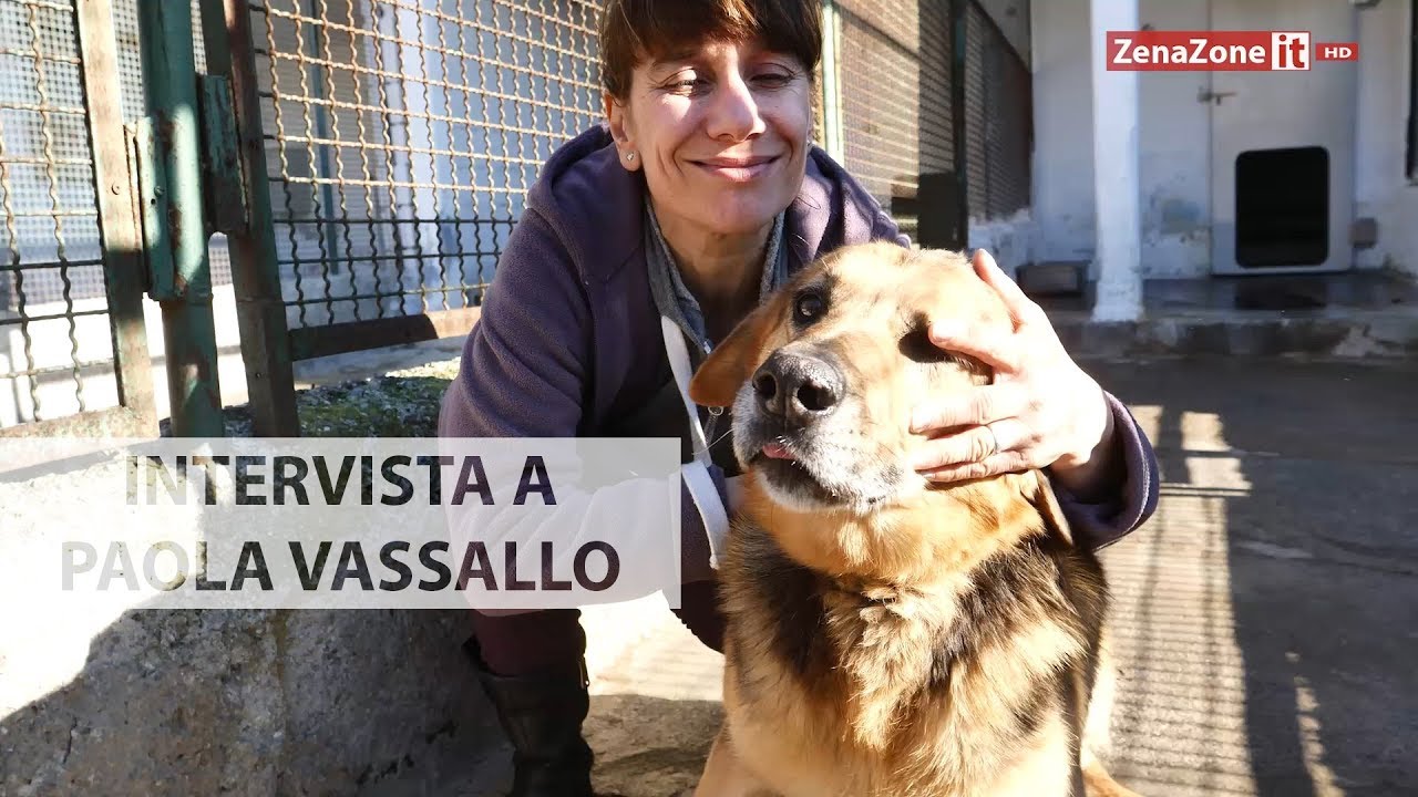 Intervista a Paola Vassallo del Canile e Gattile del Monte Gazzo